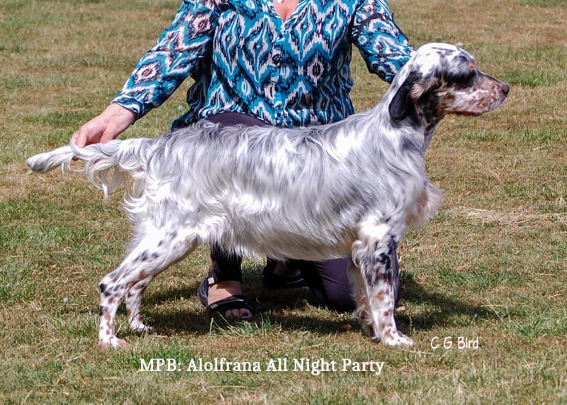 mpb26
