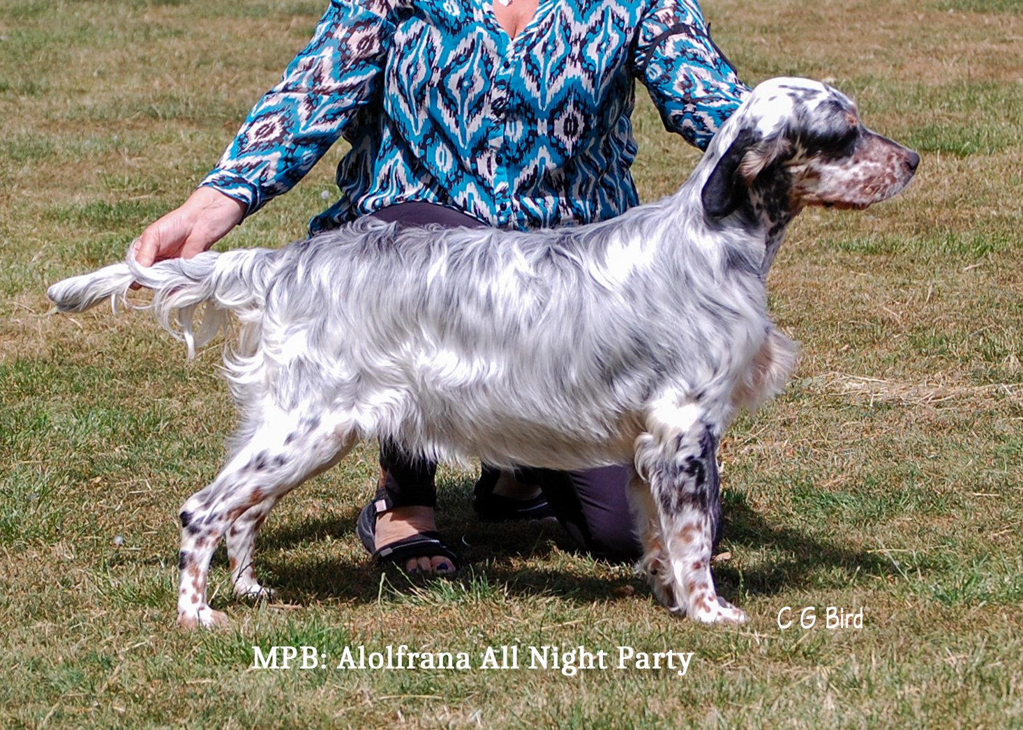 mpb26