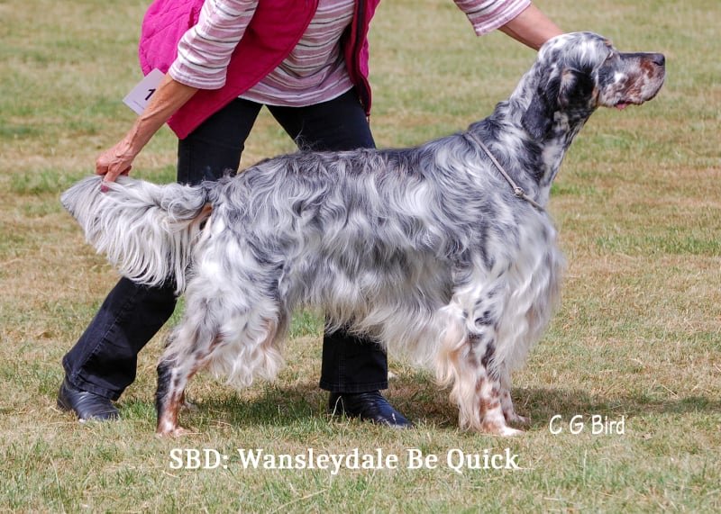 sbd26